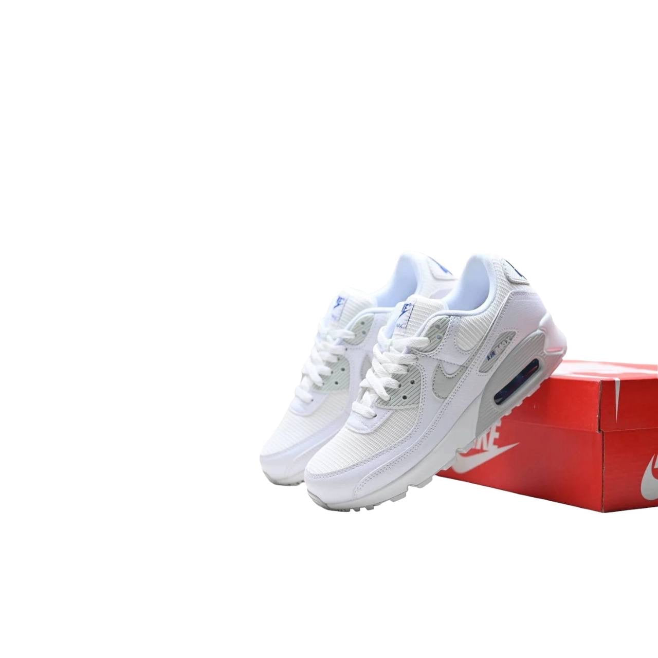 Маратонки Air Max 90 White Lt Smoke Grey