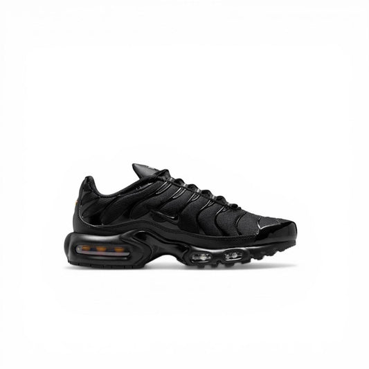 Маратонки Air Max Plus All Black